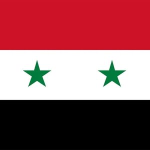 Team Page: Nashville International Academy